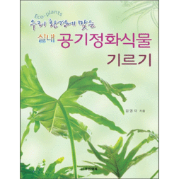 실내 공기정화식물 기르기