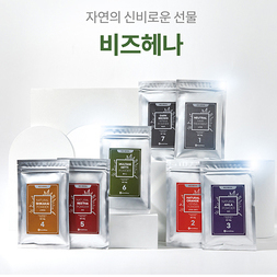 비즈 헤나 (염색)
